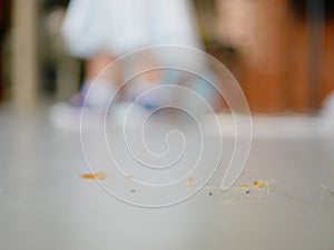 Ants and bread crumbs on the house floor with a defocus little baby standing in the background