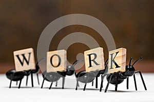 Ants carry letters that make up the word work
