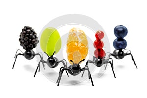 Ants carrying fruits, concept conveyance, vision of robotic industry