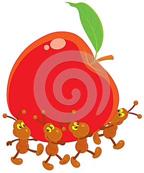 Ants carrying a red apple