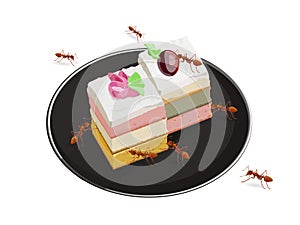 Ants eating cake isolated on white background