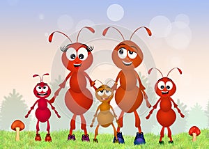 Ants family