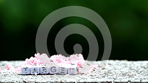 Ants find huge of red sugar and move it to hive and blur background and target object text, concept focus to target in business