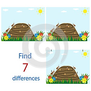 Ants find the seven differences