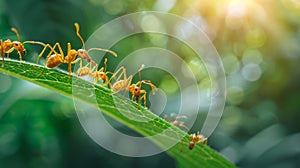 The ants on green leaf.AI generated image