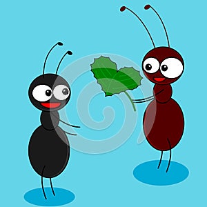 Ants in love