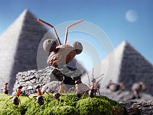 Ants sphinx and pyramiding, Ant Tales