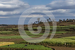 Antsirabe - Morondava. Madagascar