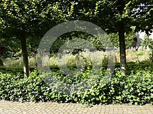 Antwerp, Belgium Zoo