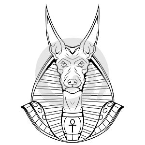 Anubis. Jackal sketch vector illustration. Ancient Egyptian god of death.