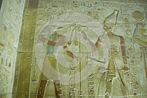 Anubis and Seti wall carving photo