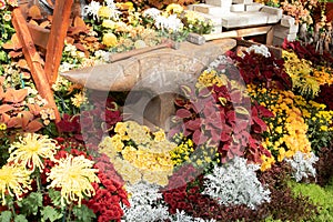 Anvil and hammers in a fall display