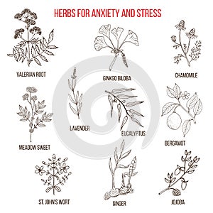 Anxiety treatment herbs collection