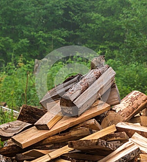 Anxious chipmunk on the heap of log