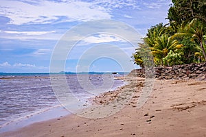 Anyer beach view with rows of coconut trees and blue sky