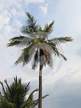 Anyer coastal town in Banten