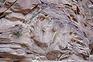 Anza-Borrego Anticline  42672