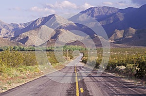 Anza-Borrego Desert State Park, California photo