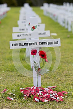 ANZAC Rememberance Crosses