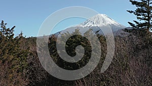 Aokigahara Forest, Rise Shot Revealing Mt Fuji