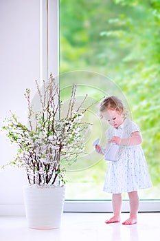 Aorable girl watering flowers at home