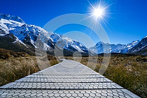 Aoraki Mount Cook and Valley Track, South Island, New Zealand