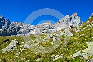 Aosta valley Alps, near Monte Cervino or Matterhorn