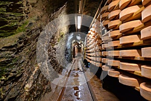 Aosta valley Fontina Italian cheese. Traditional cave aging storage.