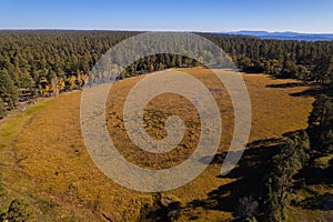 Apache Sitgreaves National Forest, aerial view