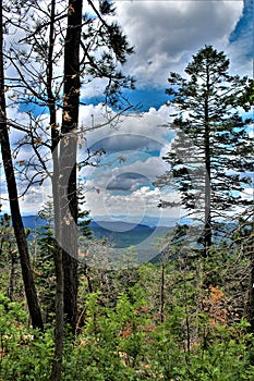 Apache-Sitgreaves National Forest, Arizona, United States