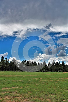 Apache-Sitgreaves National Forest, Arizona, United States