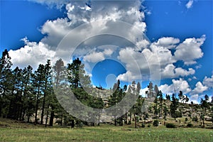 Apache-Sitgreaves National Forest, Arizona, United States