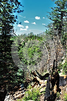 Apache Sitgreaves National Forests, Arizona, United States