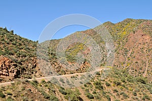 Apache Trail photo