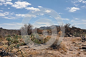 Apache trail with car photo