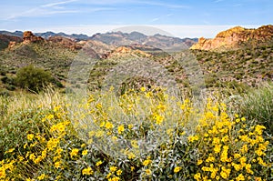 Apache Trail photo