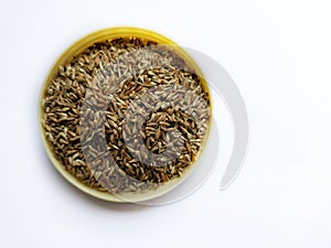 Apamarga (Achyranthes aspera) seeds