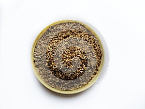 Apamarga (Achyranthes aspera) seeds