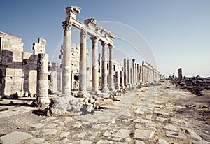 Apamea ruins, Syria