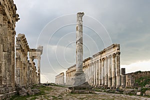 Apamea Syria, ancient ruins with famous colonnade before damage in the war