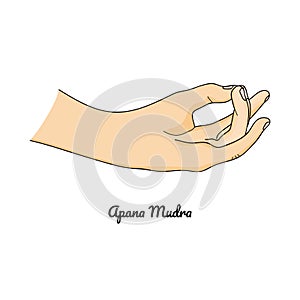 Apana Mudra / Gesture of Life Force. Vector