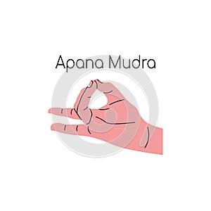 Apana mudra. Yoga hand gesture. Meditation. Vector illustration in flat minimalism design.
