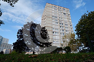 Apartement and tree in nanterre photo