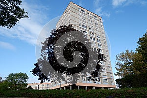 Apartement and tree in nanterre photo
