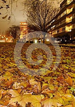 Apartment Block Night Scene