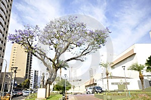 Apartment building, front view, cloudy sky, Brazil, South America, wide angle, bottom-up view