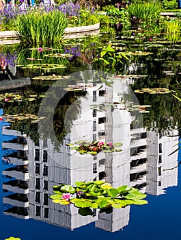 Apartment building reflecting in MonetÃ¢â¬â¢s Pool with water lilies in Denver Botanic Gardens on a sunny summer photo