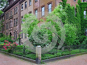 apartment building or townhouse with front garden with rose bush