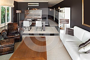 Apartment, comfortable livingroom