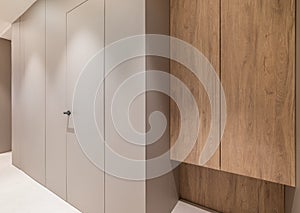 Apartment corridor with wooden wardrobe and grey panel walls with door.